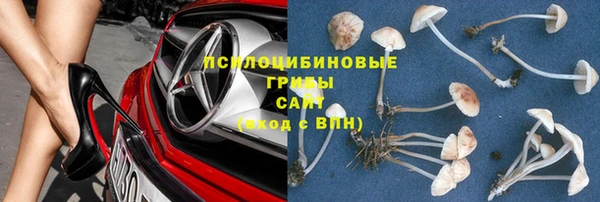 соль курить ск Ельня