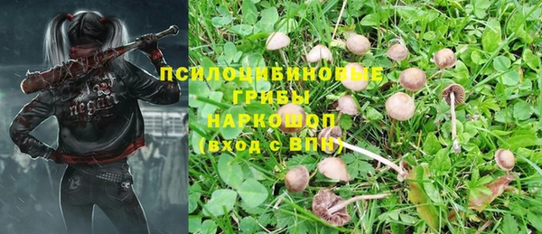 a pvp Елабуга