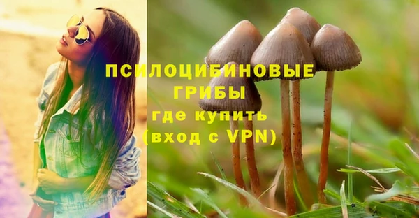 соль курить ск Ельня
