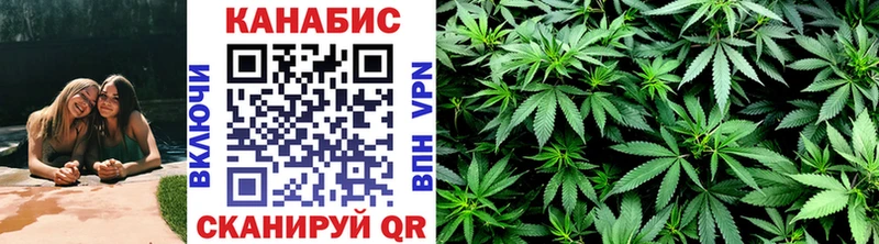 Бошки Шишки гибрид  Купить где  Енисейск 